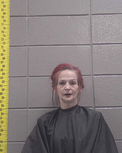 Mugshot of CHASITY WHITEHEAD