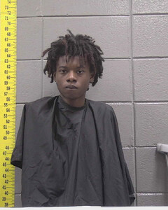 Mugshot of JAQUAVION WILLIAMS