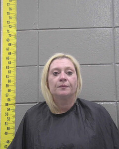Mugshot of BRITTANY DAVIS