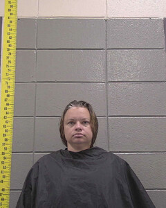 Mugshot of ADRIENNE MCDEVITT