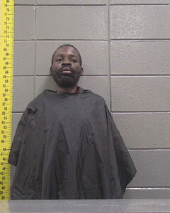 Mugshot of WILLIE IVY