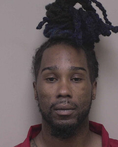 Mugshot of ROBERT REED
