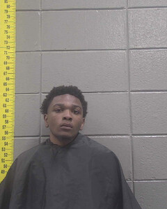 Mugshot of CHAMARION NAYLOR