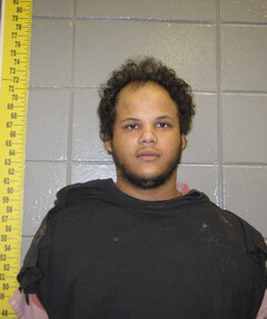 Mugshot of TERRELL MELILLO