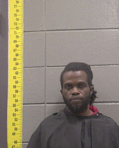 Mugshot of LEE SANDERS