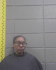Mugshot of DANQUASHA HAMPTON