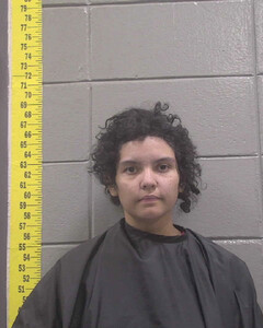 Mugshot of SUSANA ORTEGA MARTINEZ