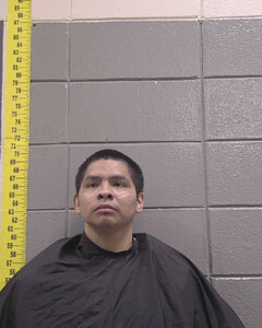 Mugshot of NICKOLUS JOHNSON