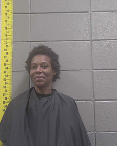 Mugshot of TEASHLEY COLLINS
