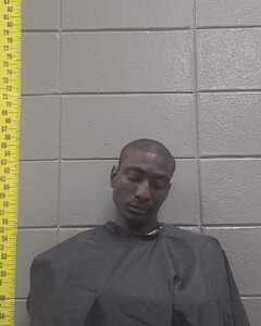 Mugshot of AARON RAYNER