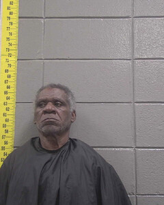 Mugshot of ROBERT NEALY