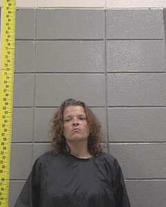 Mugshot of JESSICA MCELVEEN