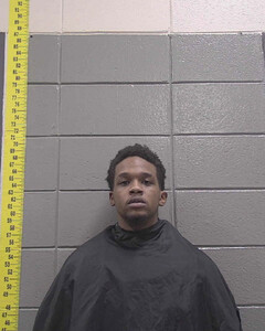 Mugshot of LA`BRIAN WILLIS