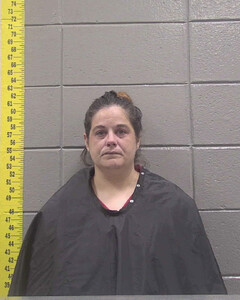 Mugshot of CHELCEE VARNADO