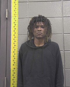 Mugshot of MARLON WHITE
