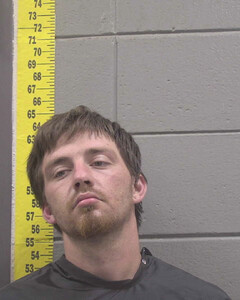 Mugshot of JAMES FLOWERS