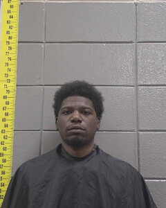 Mugshot of LADARIUS FOWLER