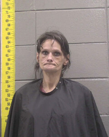 Mugshot of ELIZABETH MANNS-KNIGHT