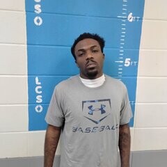 Mugshot of JAMES LEVI