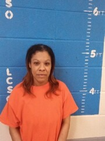 Mugshot of DANALY L WILSON