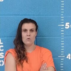 Mugshot of ELIZABETH L WESTMORELAND