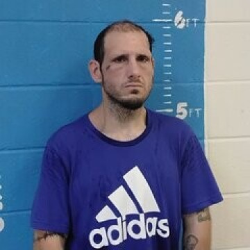 Mugshot of WILLIAM B TOWNSEND