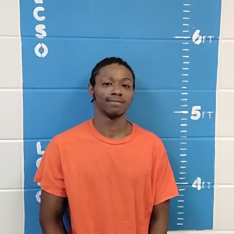 Mugshot of CHARLES E ALLISON