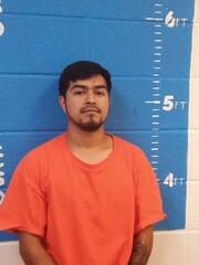 Mugshot of RICARDO TELLEZ RUBIO