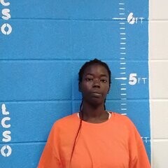 Mugshot of ALISON N LONDON