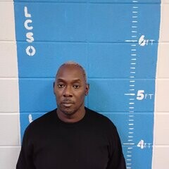 Mugshot of WILLIAM L HOLLOWAY