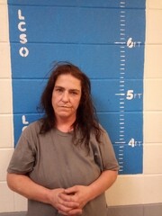 Mugshot of LORI A CHISHOLM