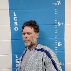 Mugshot of BRIAN D GOLMON