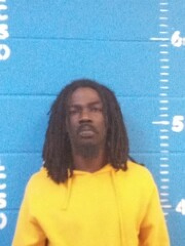 Mugshot of LORENZO M TERRELL