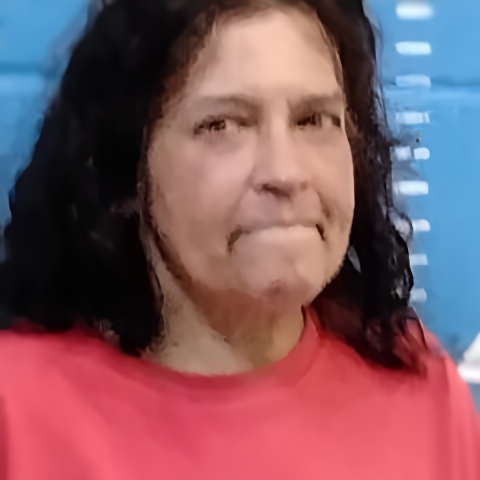 Mugshot of HOLLY J TOLSTOY