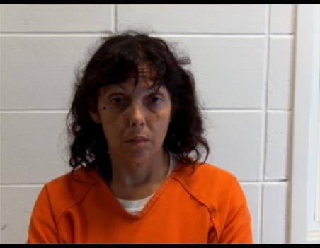 Mugshot of TASHINA DANIELLE SHIELDS