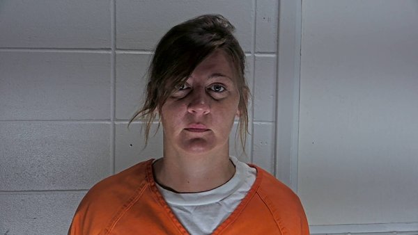Mugshot of ASHLEY VAIL