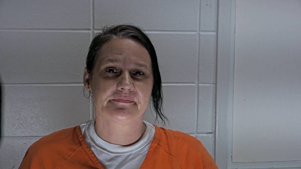 Mugshot of VERONICA SWISHER