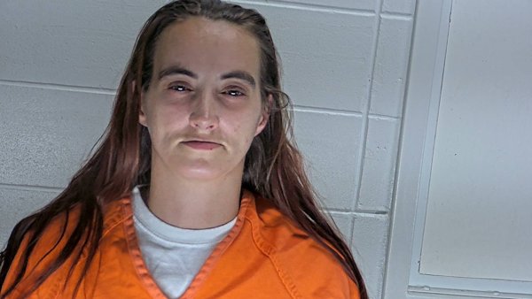 Mugshot of BRANDY COOK