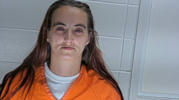 Mugshot of BRANDY COOK