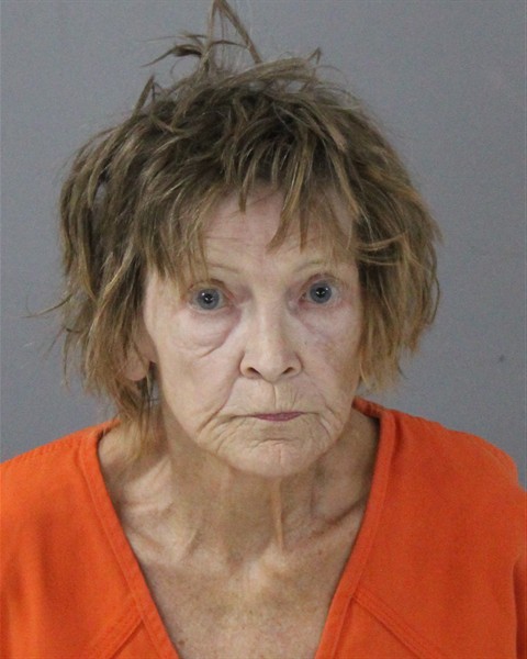 Mugshot of JOYCE LYNETT ALLEN