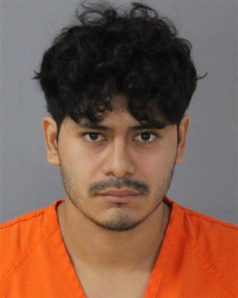Mugshot of NOEL EMERSON
