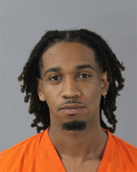 Mugshot of DANA ANTHONY PERKINS