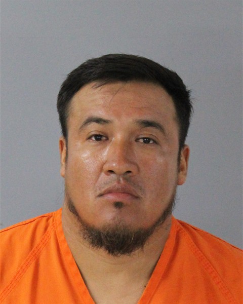 Mugshot of LUIS MARTINEZ