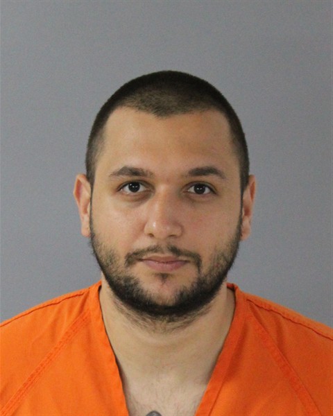 Mugshot of OCTAVIAN ALEXANDRU LULEA
