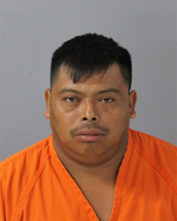 Mugshot of MIGUEL HERNANDEZ