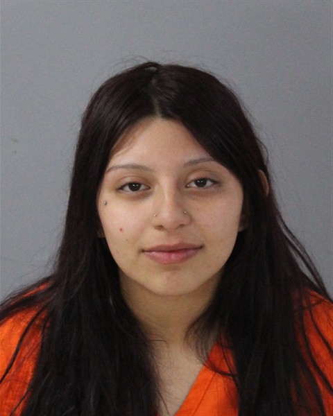 Mugshot of YESENIA REA-HERNANDEZ
