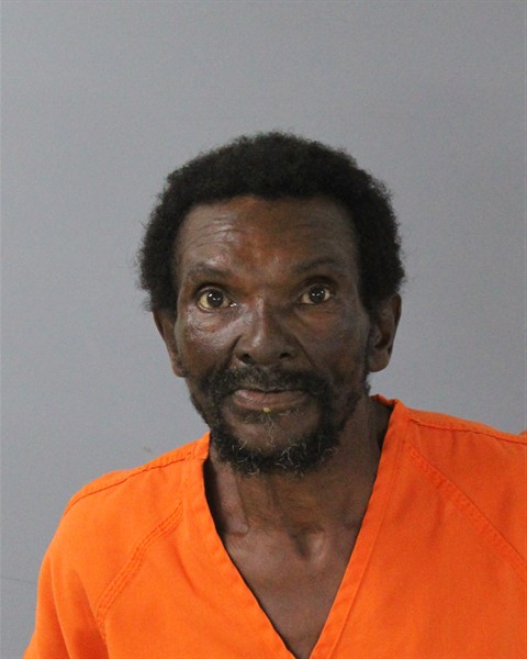 Mugshot of CLEOTHA TAYLOR