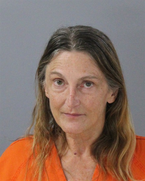 Mugshot of AMANDA WILSON
