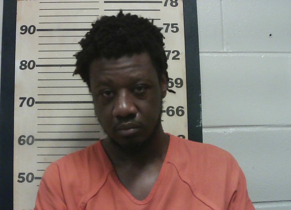 Mugshot of BRANDON HUDSON