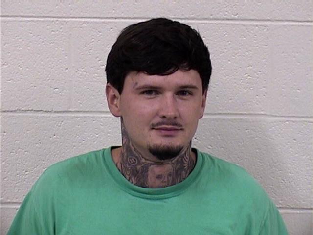 Mugshot of JAMES CAMERON WILLARD
